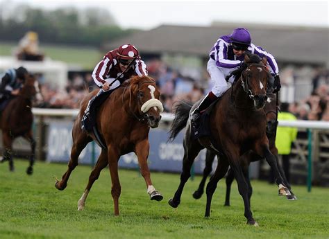 api horse racing|thoroughbred horse racing today.